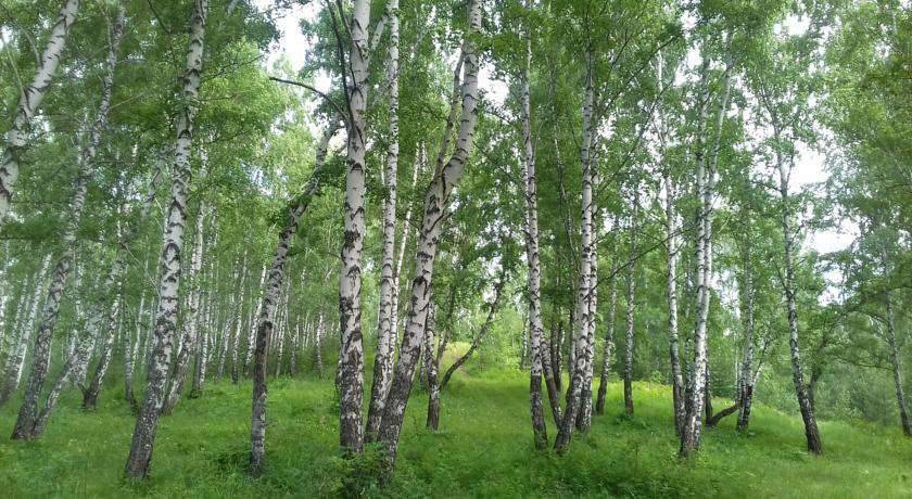 Фото Гостиницы Krasnoyarsk Красноярск 51